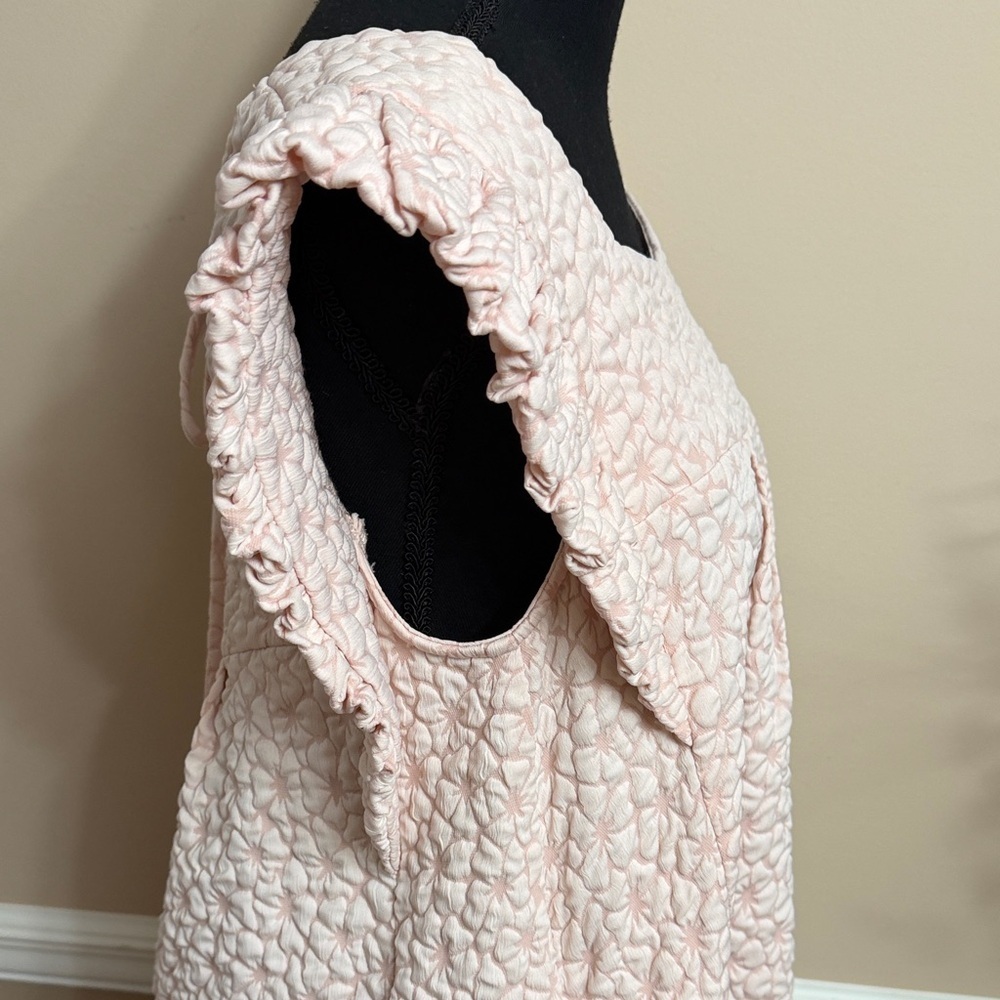 Pale Pink Textured Ruffled Sleeve Dress - Picture 6 of 16